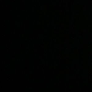 Meet your Posher, Silvia